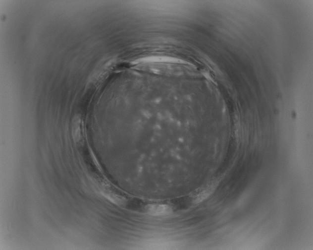 X0000067390169200604131940