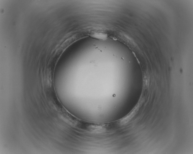 X0000067390170200604131940