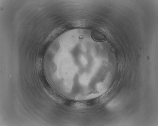 X0000067390171200604131940