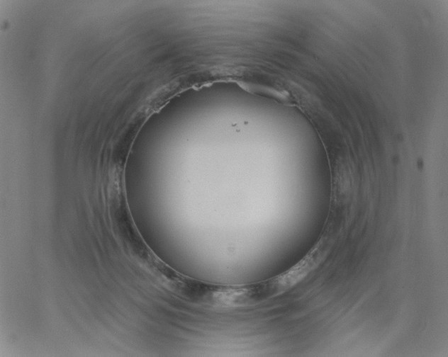 X0000067390172200604131940