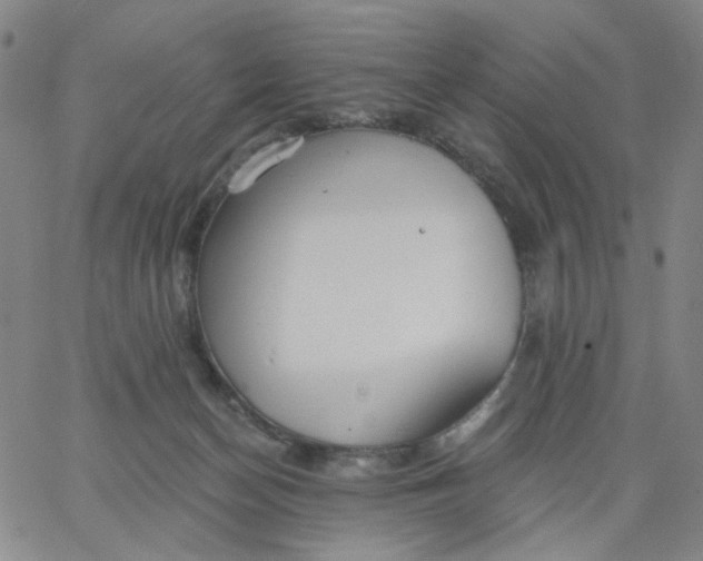 X0000067390174200604131941