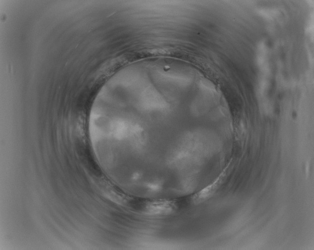 X0000067390175200604131941