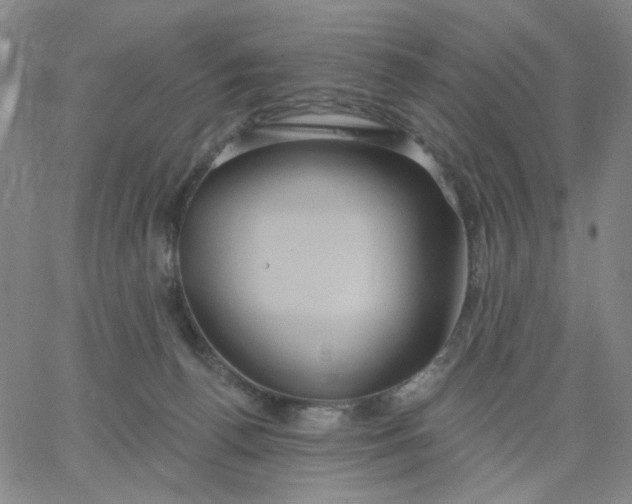 X0000067390176200604131941