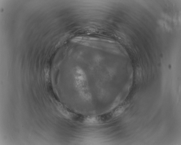 X0000067390177200604131941