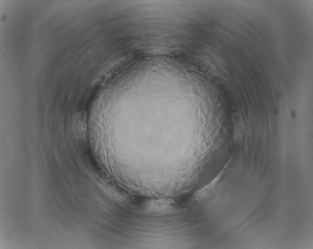 X0000067390179200604131941