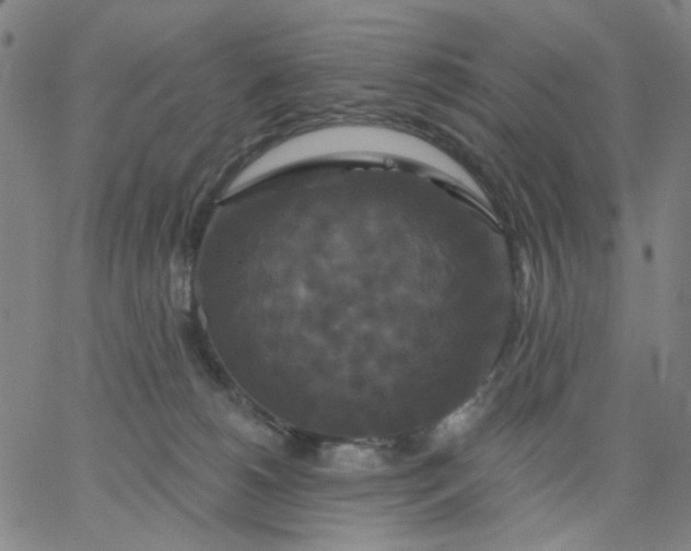 X0000067390180200604131941