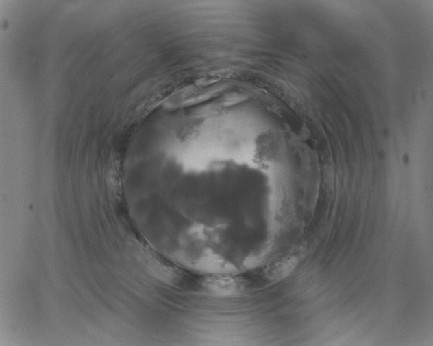 X0000067390181200604131941