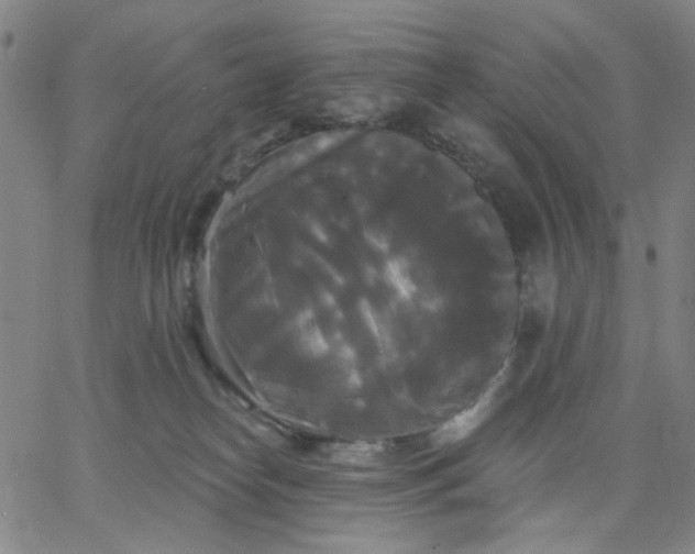 X0000067390182200604131941