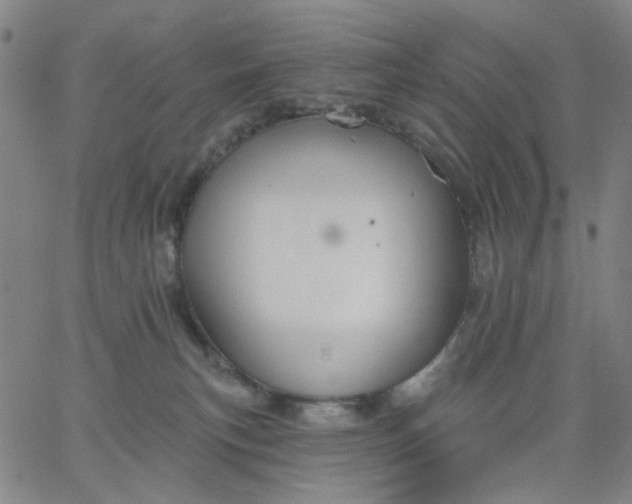 X0000067390183200604131941