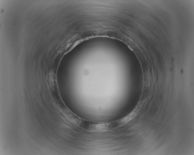 X0000067390184200604131941