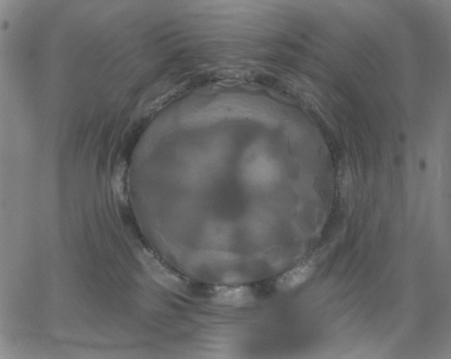 X0000067390185200604131941