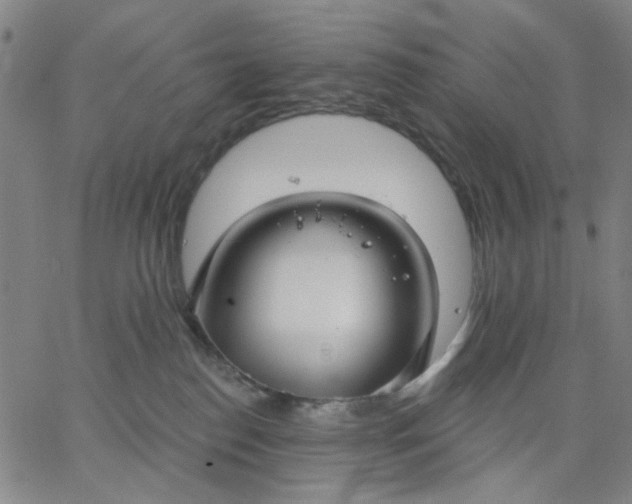 X0000067390186200604131941