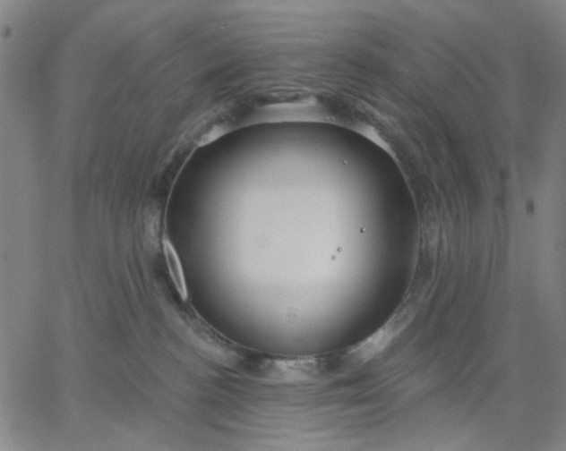 X0000067390188200604131941