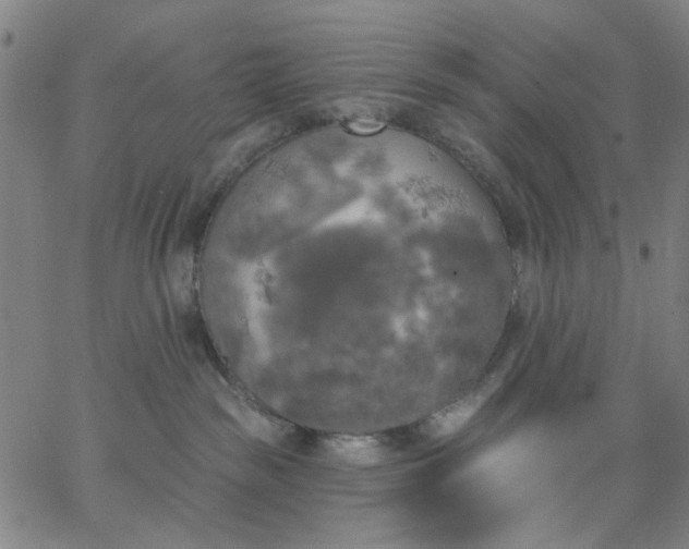 X0000067390189200604131941