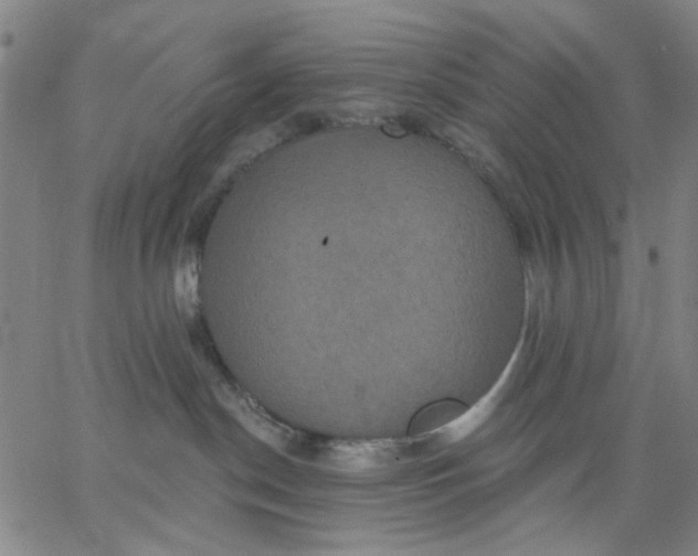 X0000067390190200604131941