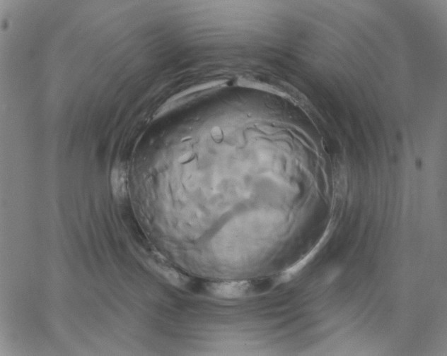 X0000067390191200604131941