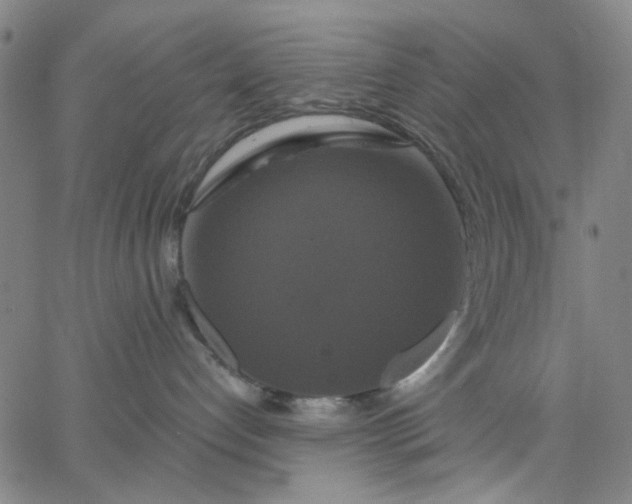 X0000067390192200604131941