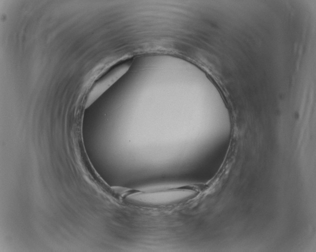 X0000067390193200604131940