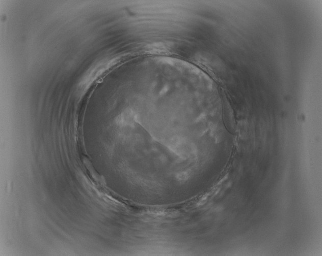 X0000067390194200604131940