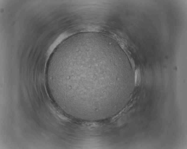 X0000067390195200604131940