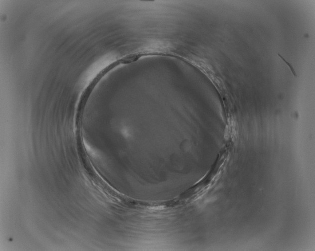 X0000067390196200604131940