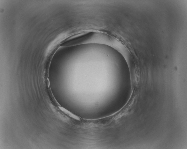 X0000067390197200604131940