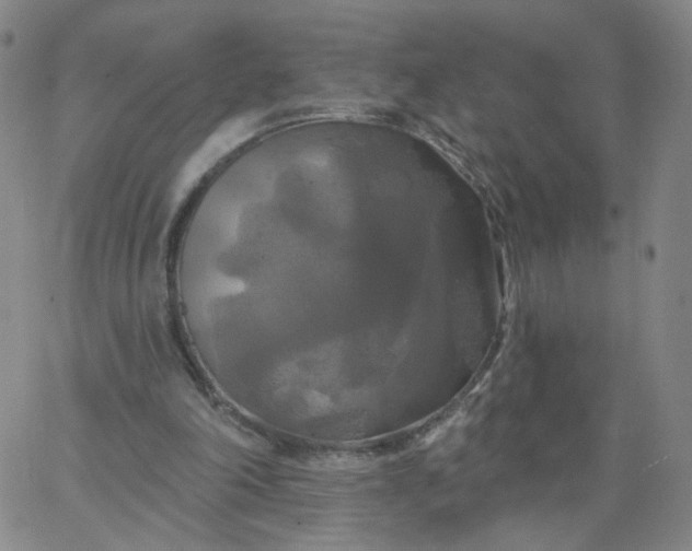 X0000067390198200604131940