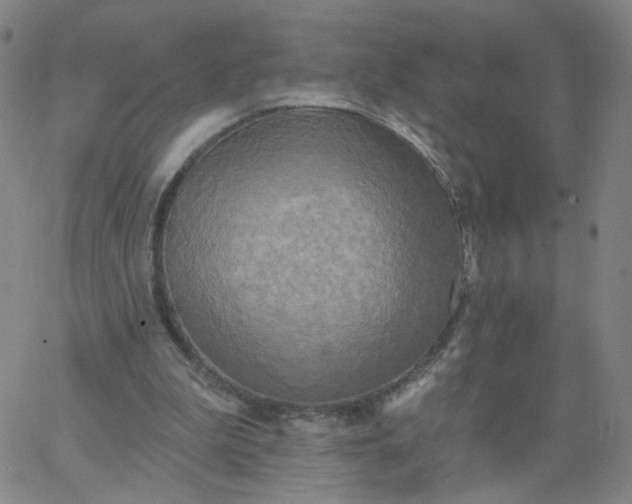 X0000067390199200604131940