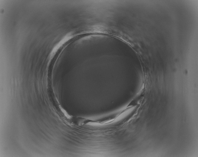 X0000067390200200604131940