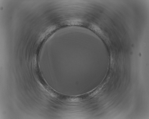 X0000067390202200604131940