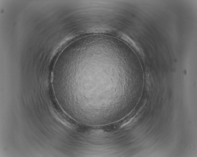 X0000067390203200604131940