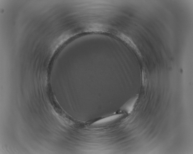 X0000067390204200604131940