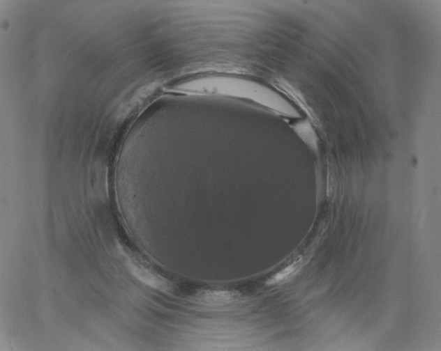 X0000067390205200604131940