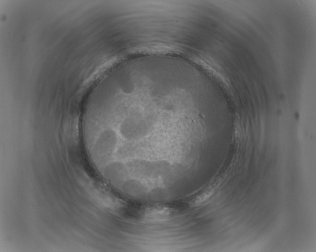 X0000067390206200604131940