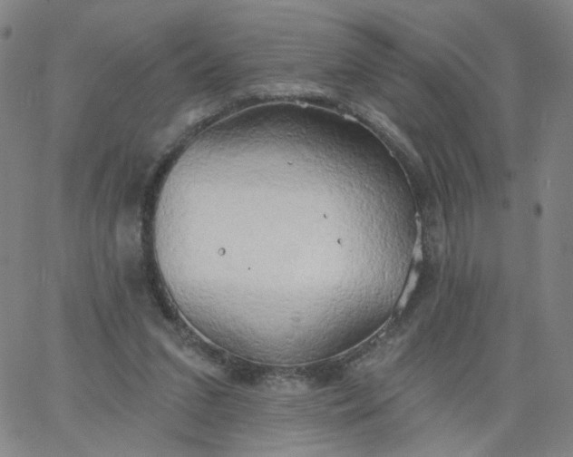 X0000067390207200604131940