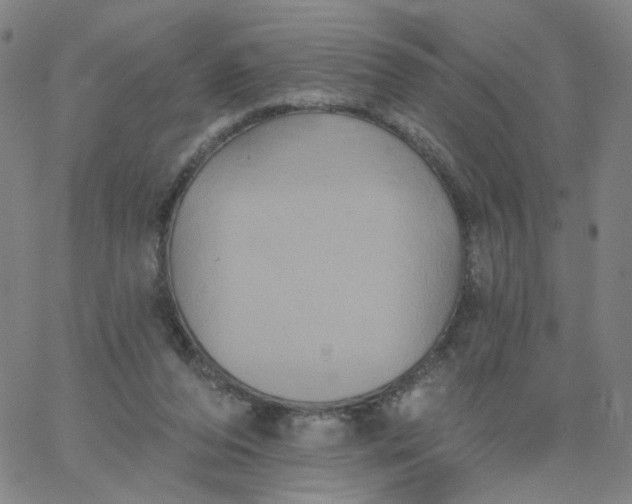 X0000067390208200604131940