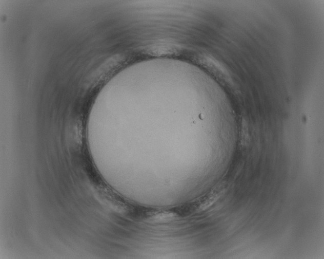 X0000067390210200604131940