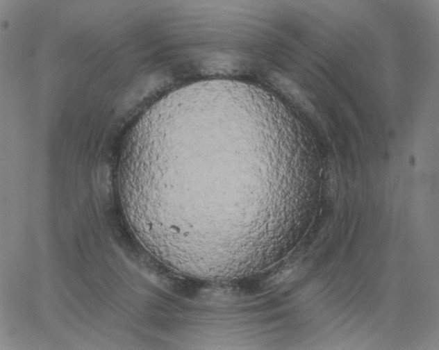 X0000067390211200604131940