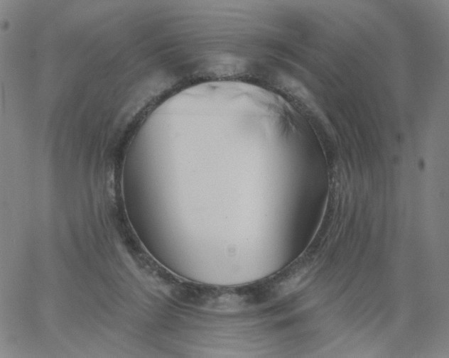 X0000067390212200604131940