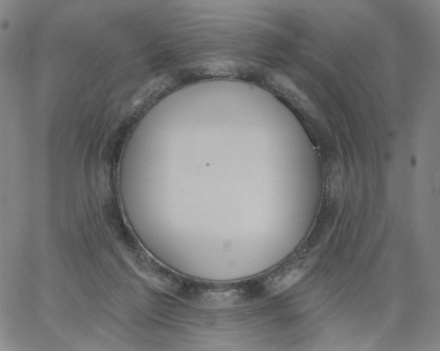 X0000067390213200604131940