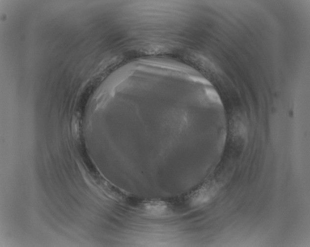 X0000067390214200604131940