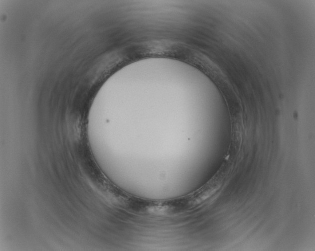 X0000067390216200604131940