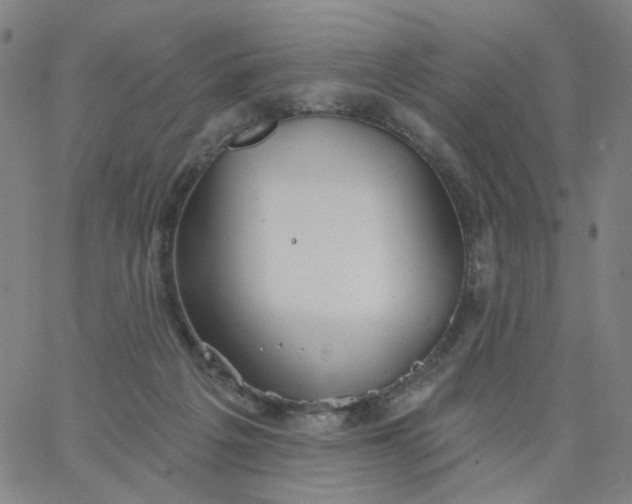 X0000067390217200604131940