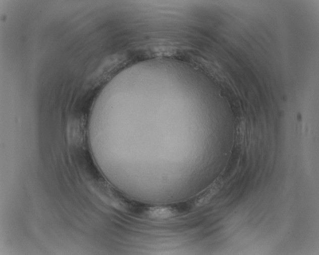 X0000067390218200604131940