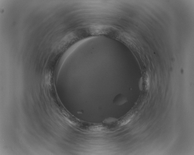 X0000067390219200604131940