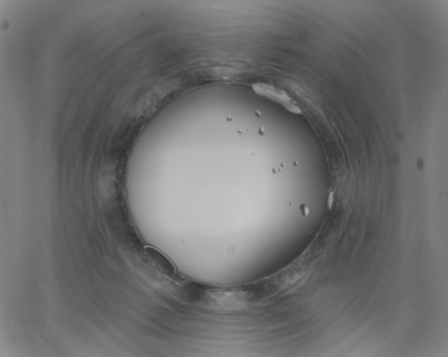 X0000067390221200604131940