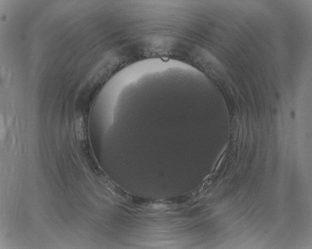 X0000067390224200604131940