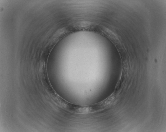 X0000067390225200604131940