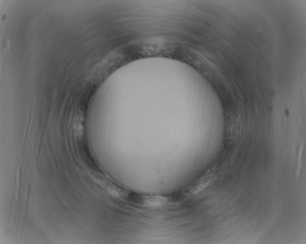 X0000067390226200604131939