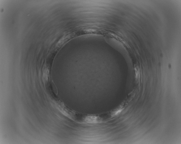 X0000067390227200604131939